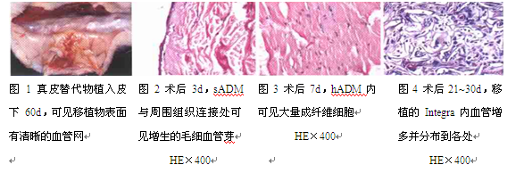 基础1